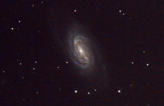 NGC 2903