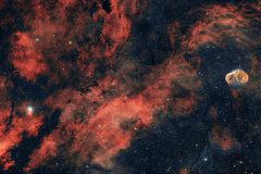 Sadr-Region im Schwan mit NGC6888