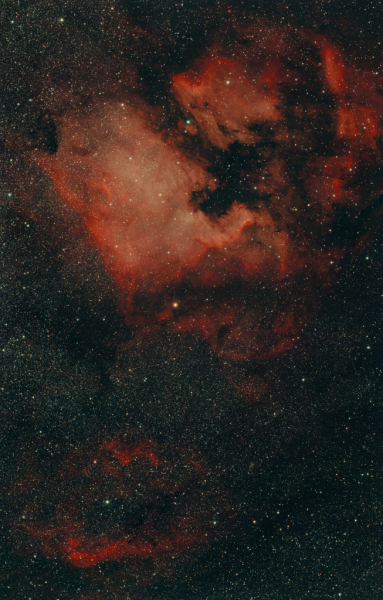 NGC7000 - Nordamerika- mit Pelikannebel