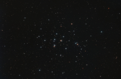 Messier 44 - Praesepe (Bienenstock-Sternhaufen)