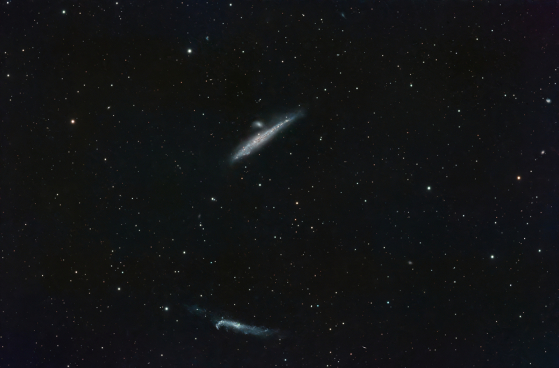 NGC4631