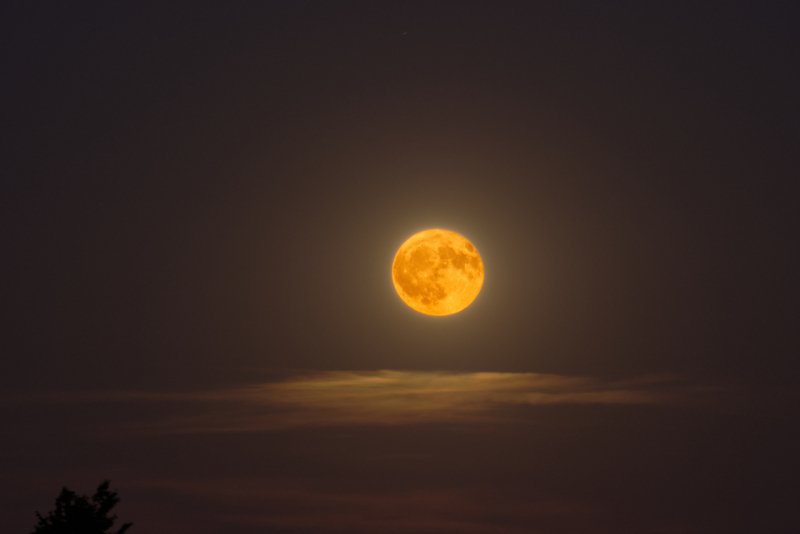 Vollmondaufgang 20250611 Erdbeermond